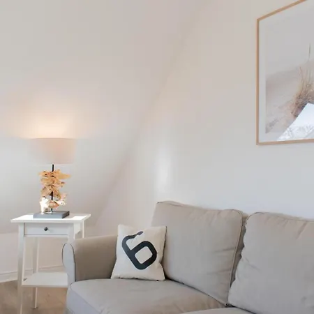 Strandaster * シャルボイツ