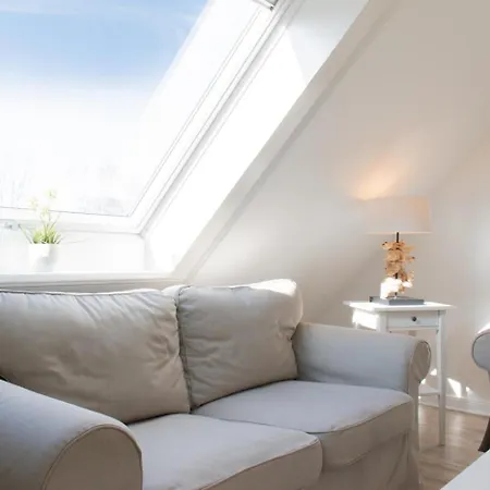 Strandaster * シャルボイツ